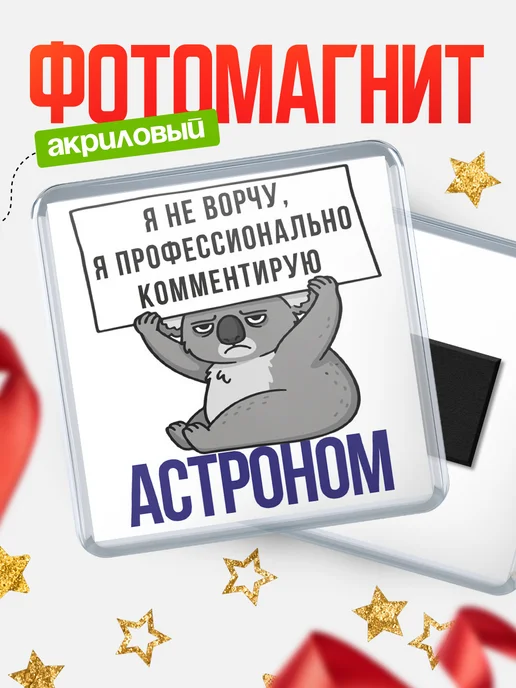 КлассныеШтучки Магнит астроном я не ворчу, я профессионально комментирую!, вариант