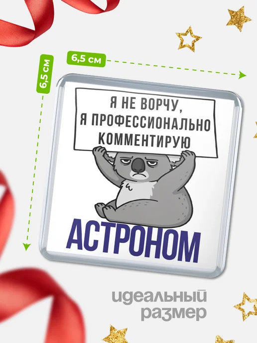 КлассныеШтучки Магнит астроном я не ворчу, я профессионально комментирую!, вариант, фото 2