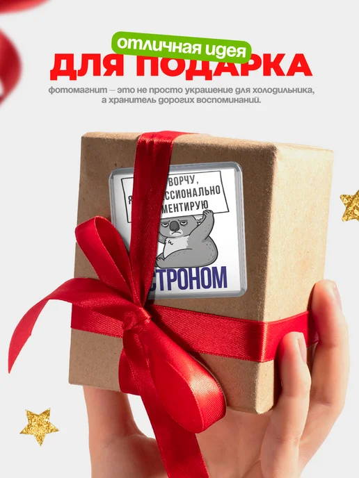 КлассныеШтучки Магнит астроном я не ворчу, я профессионально комментирую!, вариант, фото 5