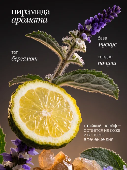 MIXIT Подарочный мужской набор шампунь и гель для душа, мочалка, 200 мл, фото 5