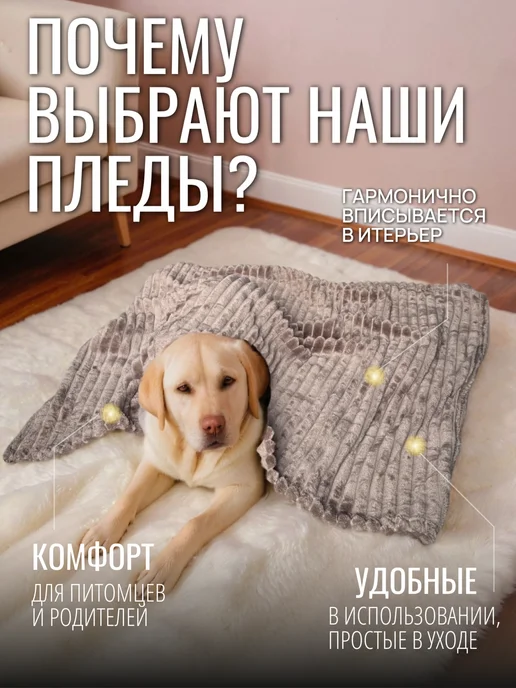 Emmy Stil Плед для кошек и собак 70x100, 70x100, фото 2
