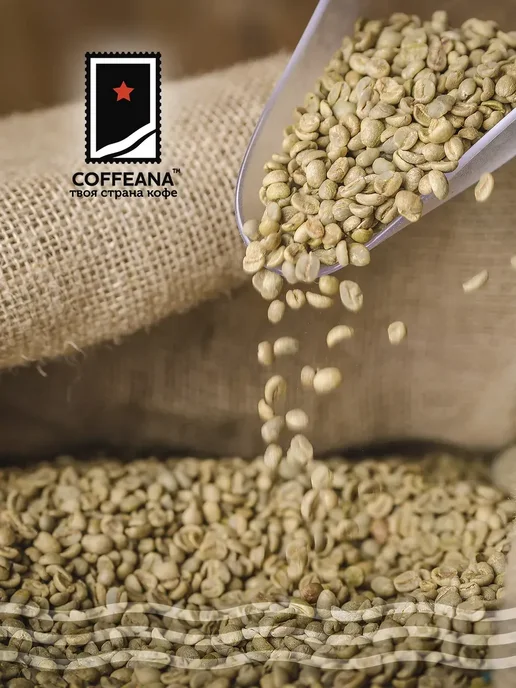COFFEANA Кофе Индия Плантация АА в зернах 250 г, 250 г, фото 2