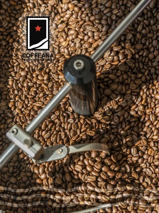 COFFEANA Кофе Индия Плантация АА в зернах 250 г, 250 г, фото 4