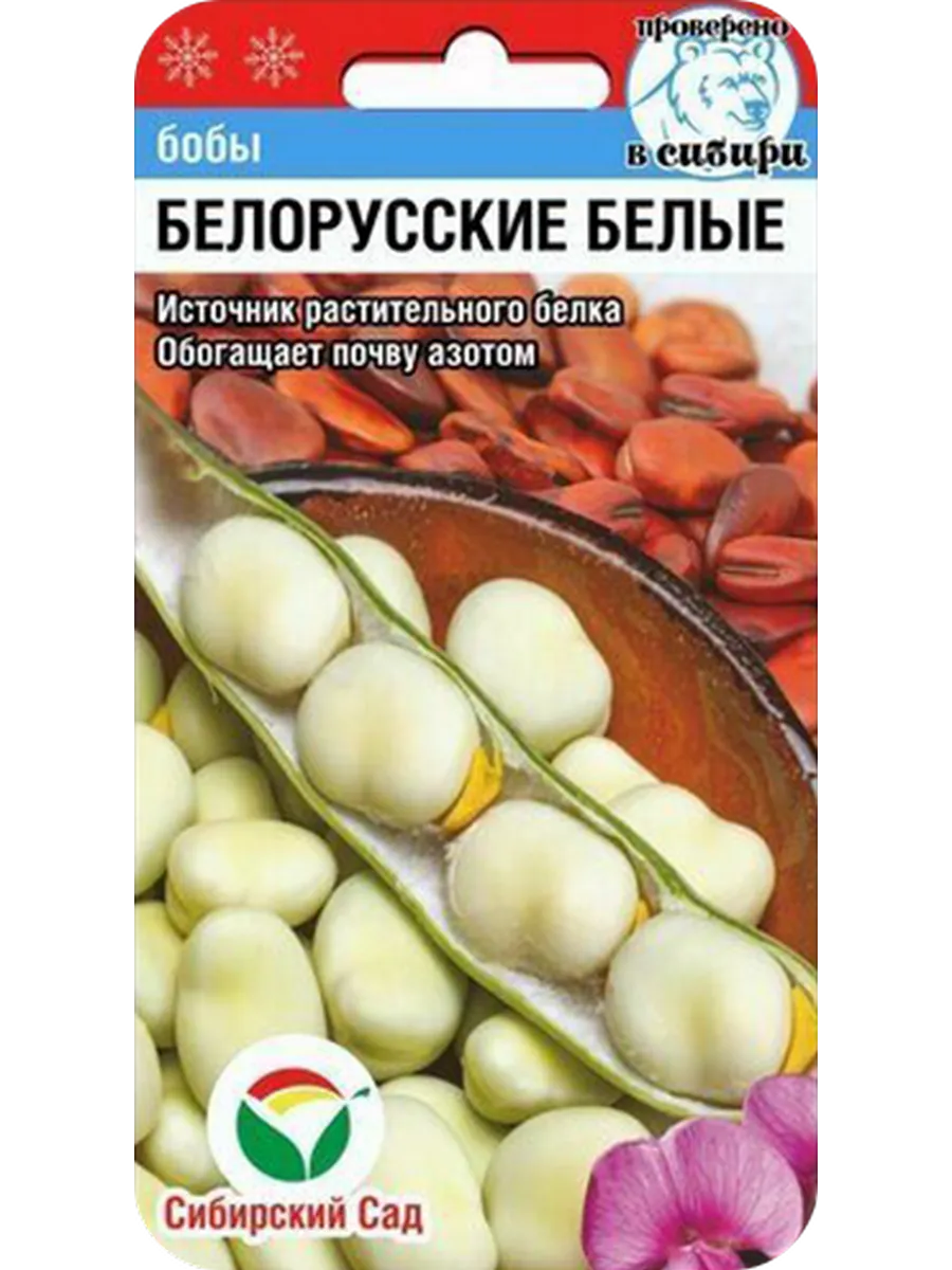 Семена Бобы Белорусские белые, 5шт
