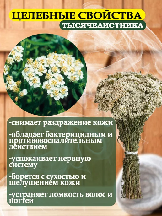 Веники для души Веники дубовые для бани 2 шт и тысячелистник, 2 шт, фото 2