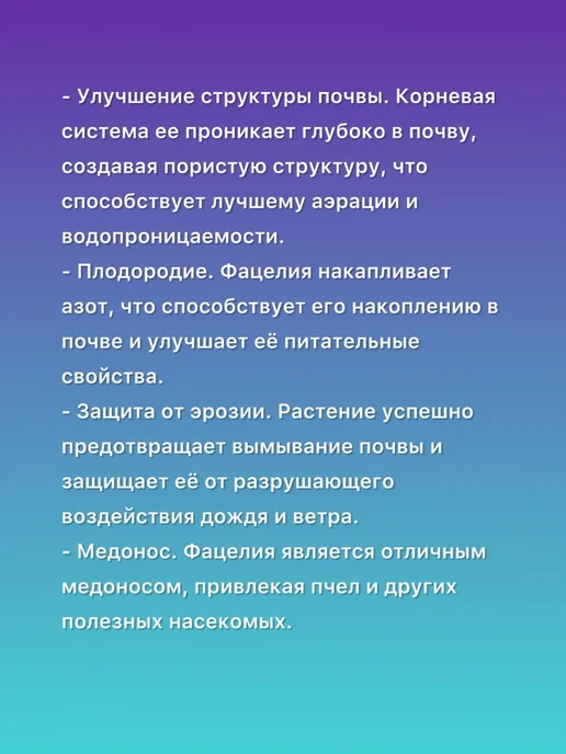 Фацелия сидерат 1кг, 1 кг, фото 2