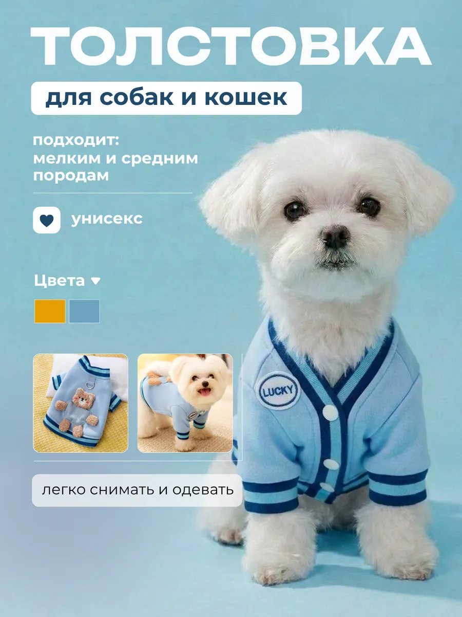 Толстовка для собак мелких и средних пород и кошек