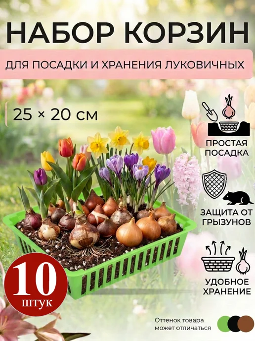 Корзина для посадки луковичных растений 5 шт, 10 шт
