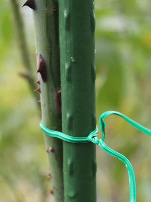 Botanica. Проволока для подвязки растений пластиковая 100 шт, 100 шт, фото 8