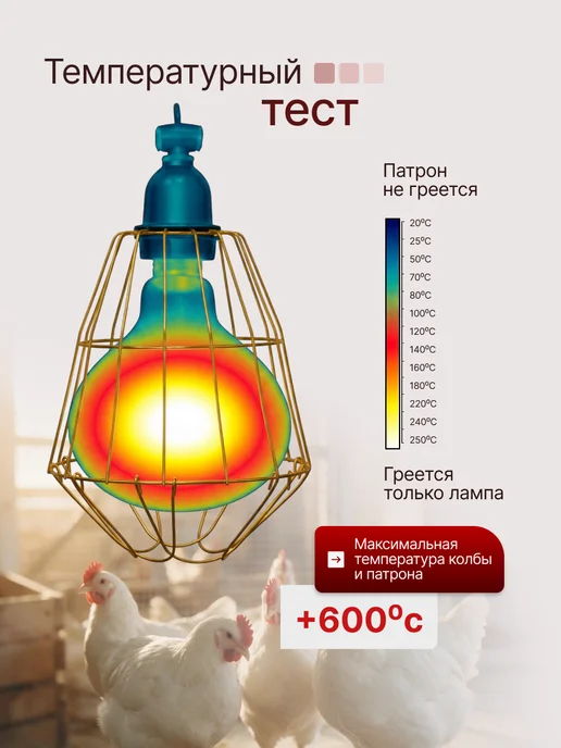 Magic Light Лампочка решетка патрон для птиц 250 вт, 250 Вт, фото 5