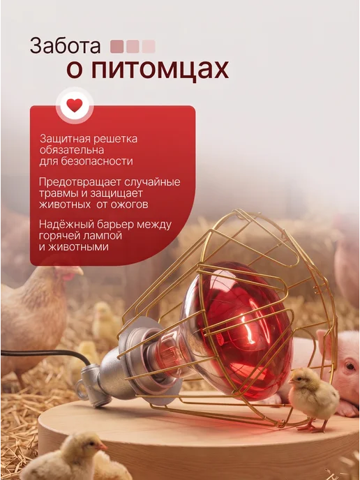 Magic Light Лампочка решетка патрон для птиц 250 вт, 250 Вт, фото 7