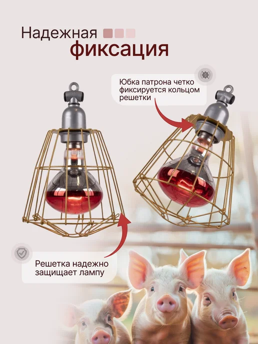 Magic Light Лампочка решетка патрон для птиц 250 вт, 250 Вт, фото 8