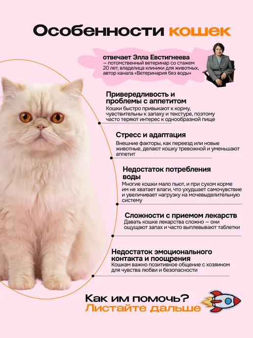 CosmoPet Лакомство для кошек Cosmocat 84 г Крем из лосося, 90 г, фото 2