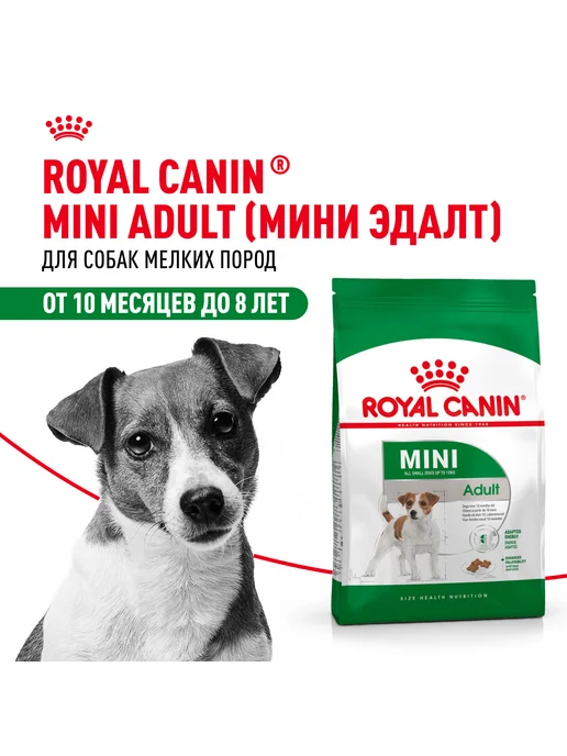 Сухой корм Royal canin Эдалт для собак, взрослые, мелкие, 8 кг, фото 2