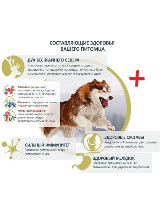 Сухой корм PORCELAN Estrudo Tundra для собак, средние, оленина, 13 кг, фото 5