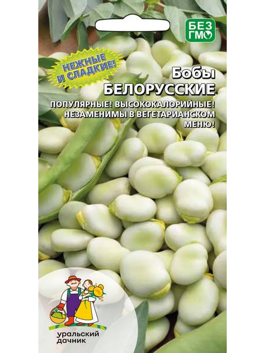 Семена Бобы Белорусские, 6шт