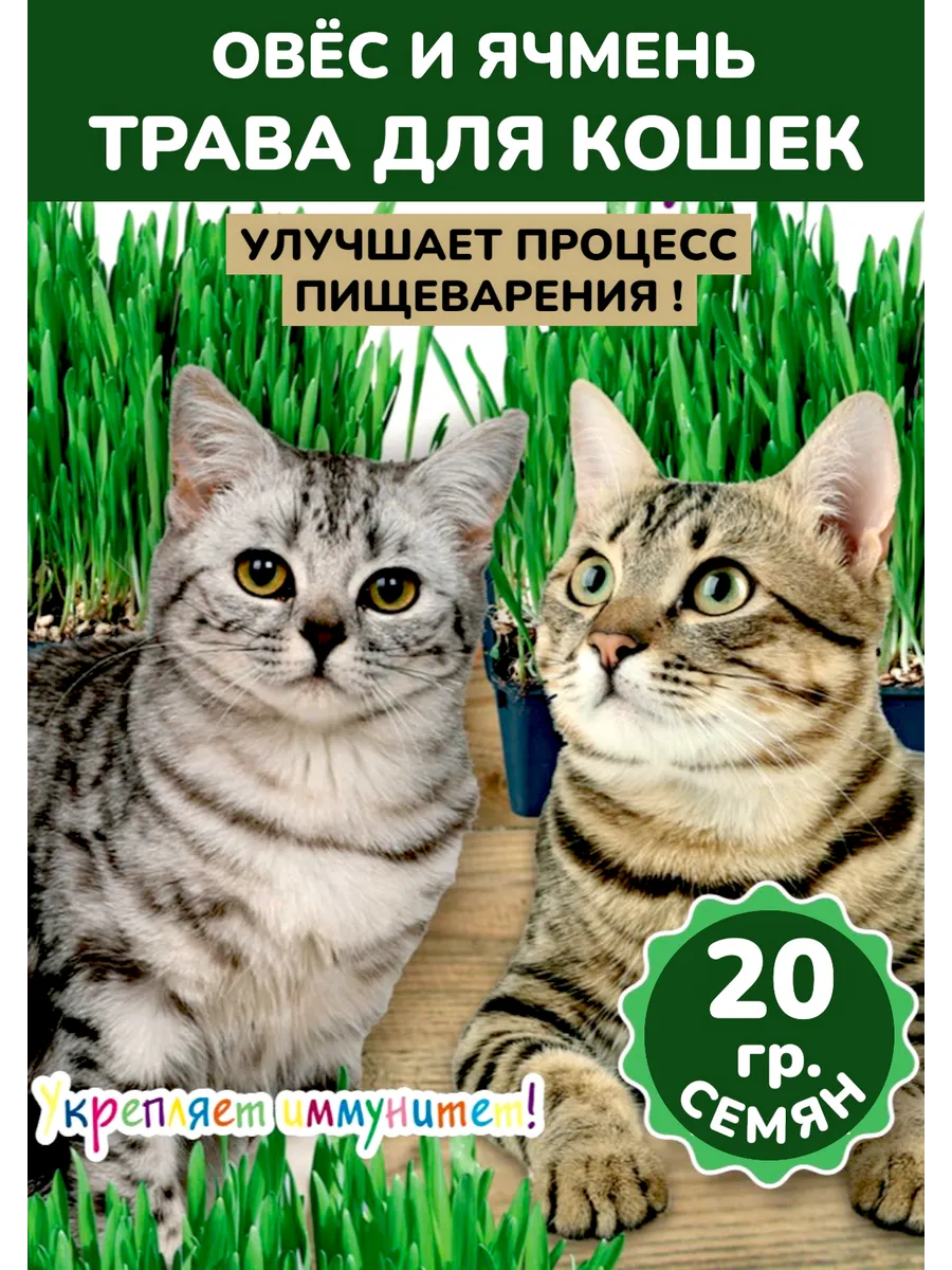 Трава для кошек Овес и Ячмень, 20гр, 2 пакета