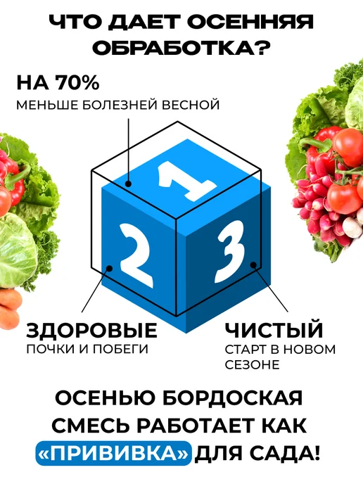 GREEN BELT Бордосская смесь для сада, от болезней растений 400 гр, 400 г, фото 2