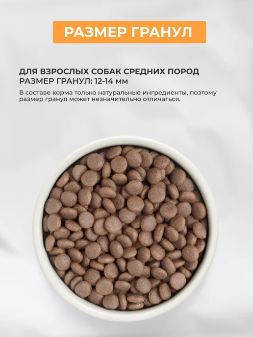 Сухой корм PREMIER для собак, средние, индейка, 2 кг, фото 8