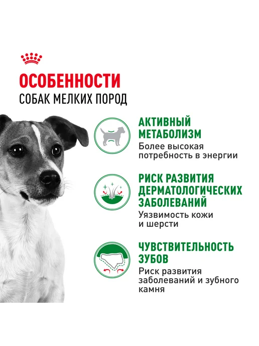 Сухой корм Royal canin Птица для собак, мелкие, 0,8 кг, фото 2