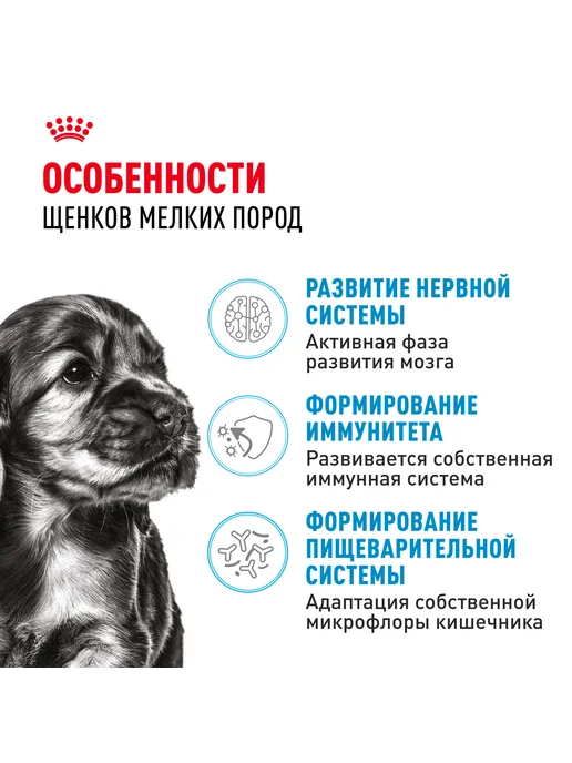 Сухой корм Royal canin Птица для собак, мелкие, щенки, 0,8 кг, фото 2