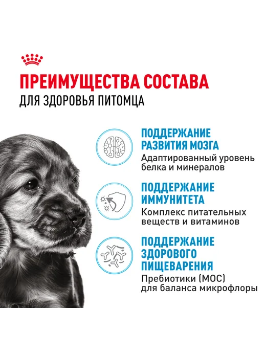 Сухой корм Royal canin Птица для собак, мелкие, щенки, 0,8 кг, фото 3