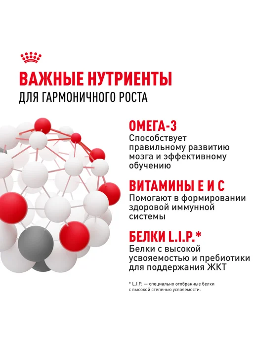Сухой корм Royal canin Птица для собак, мелкие, щенки, 0,8 кг, фото 5
