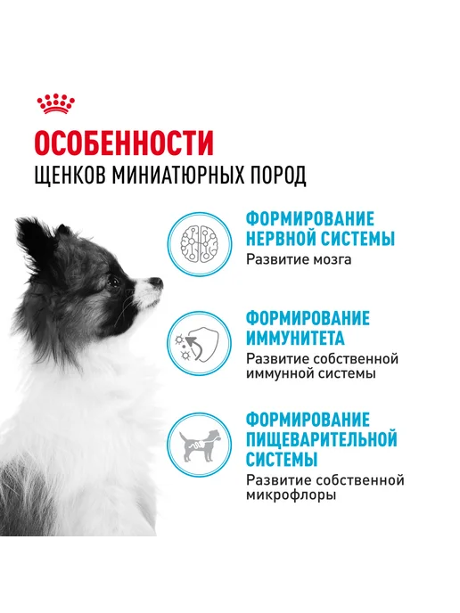 Сухой корм Royal canin Птица для собак, мелкие, щенки, 0,5 кг, фото 2
