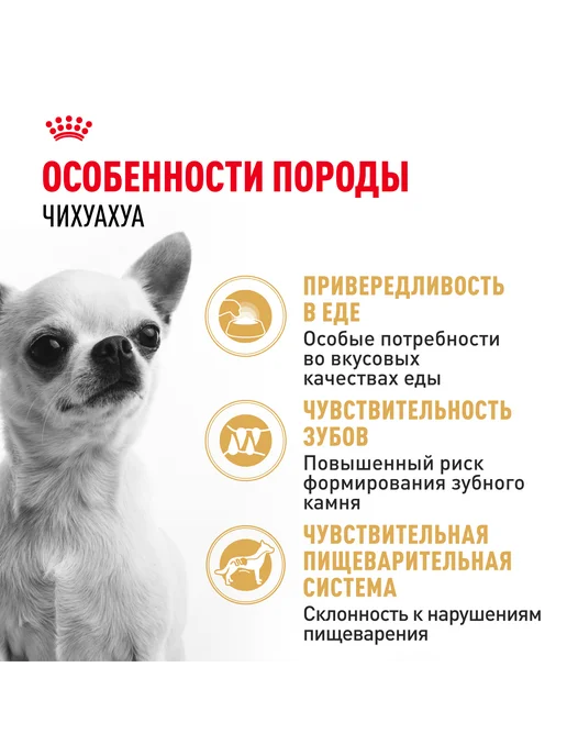 Сухой корм Royal canin Чихуахуа Птица для собак, 0,5 кг, фото 2