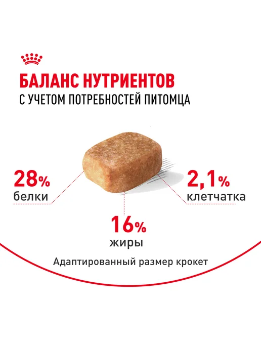 Сухой корм Royal canin Чихуахуа Птица для собак, 0,5 кг, фото 4