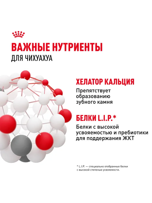 Сухой корм Royal canin Чихуахуа Птица для собак, 0,5 кг, фото 5