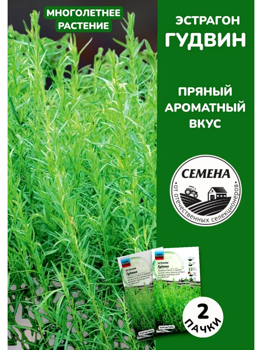 Агросидстрейд Эстрагон Гудвин, 2 пачки, зеленый