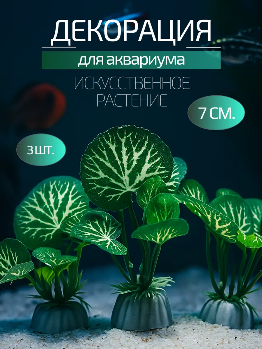 3 растения для аквариума