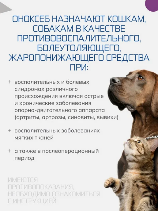 Nita-Farm Оноксеб 20 мг противовоспалительный препарат 5-20 кг, 10таб, 20 кг, фото 3