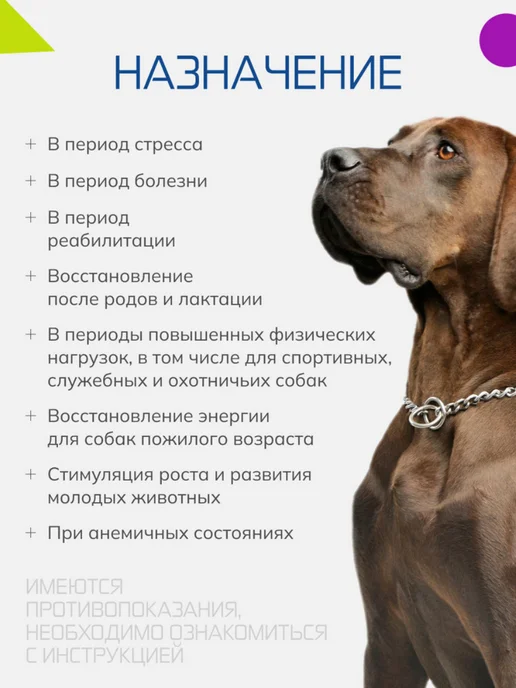 Nita-Farm Бутофан Актив добавка для восполнения энергии, 50 мл, 50 мл, фото 4