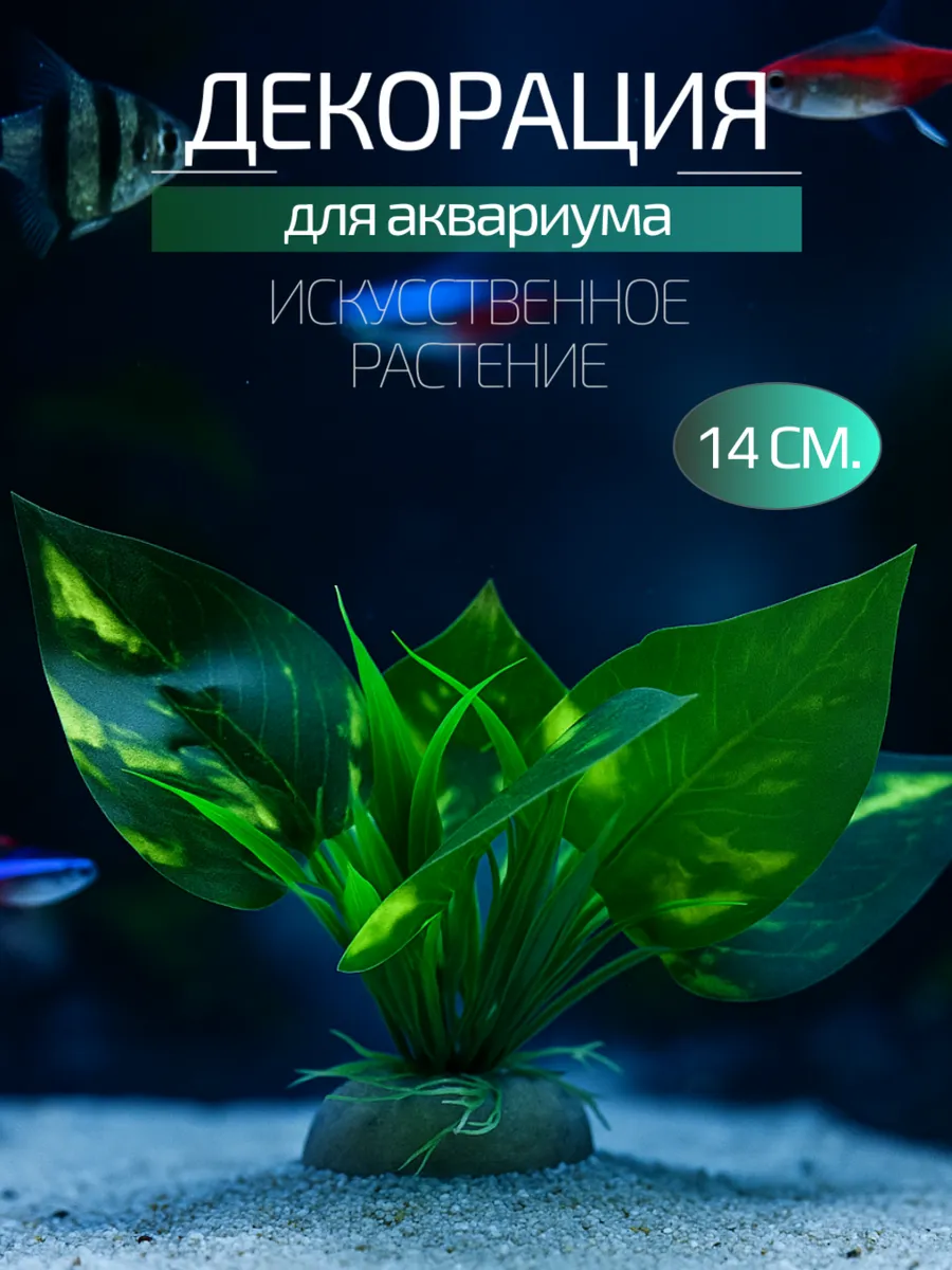 Декорация для аквариума 14 см.