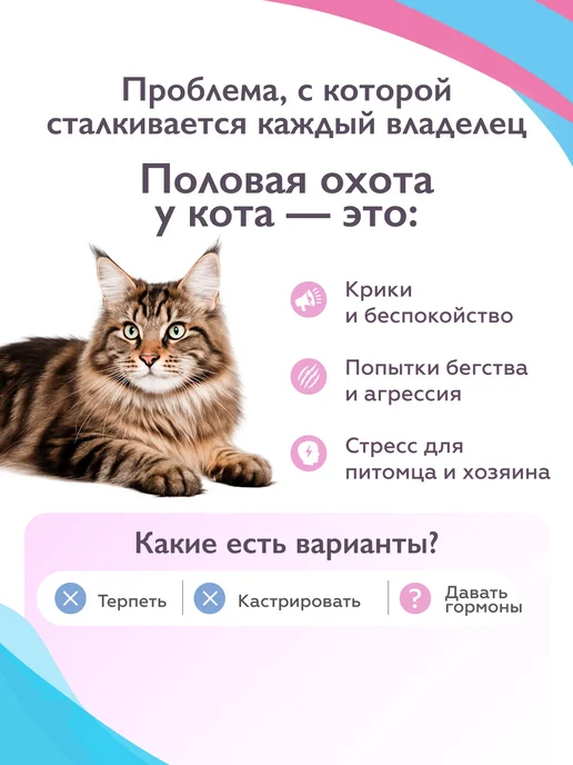 Neoterica Жанилон Микро для котов, таблетки, № 10, вариант, фото 2