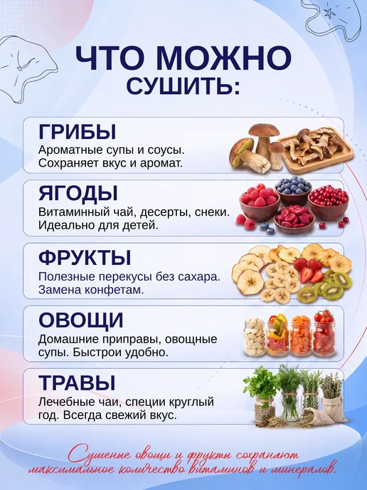 ЭЛВИН Сушилка овощей и фруктов СУ-1, голубой, фото 2