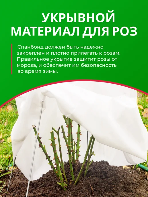 КРЕО Спанбонд белый 100 0,8*10м укрывной на зиму, 10 м, фото 7