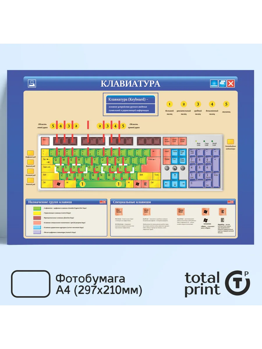 Постер на стену по информатике Клавиатура, А4(297х210мм) Totalprint. Цвет красный, белый, зеленый, черный.