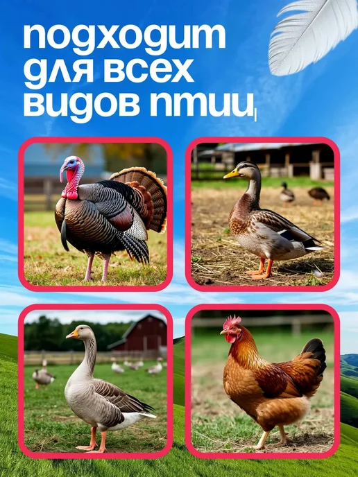 RIGINLE Зарядной электрический пинцет для удаления перьев у птиц, черный, фото 4