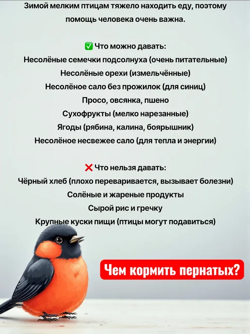 Пернатики Кормушка для уличных птиц на окно теремок, белый, фото 7