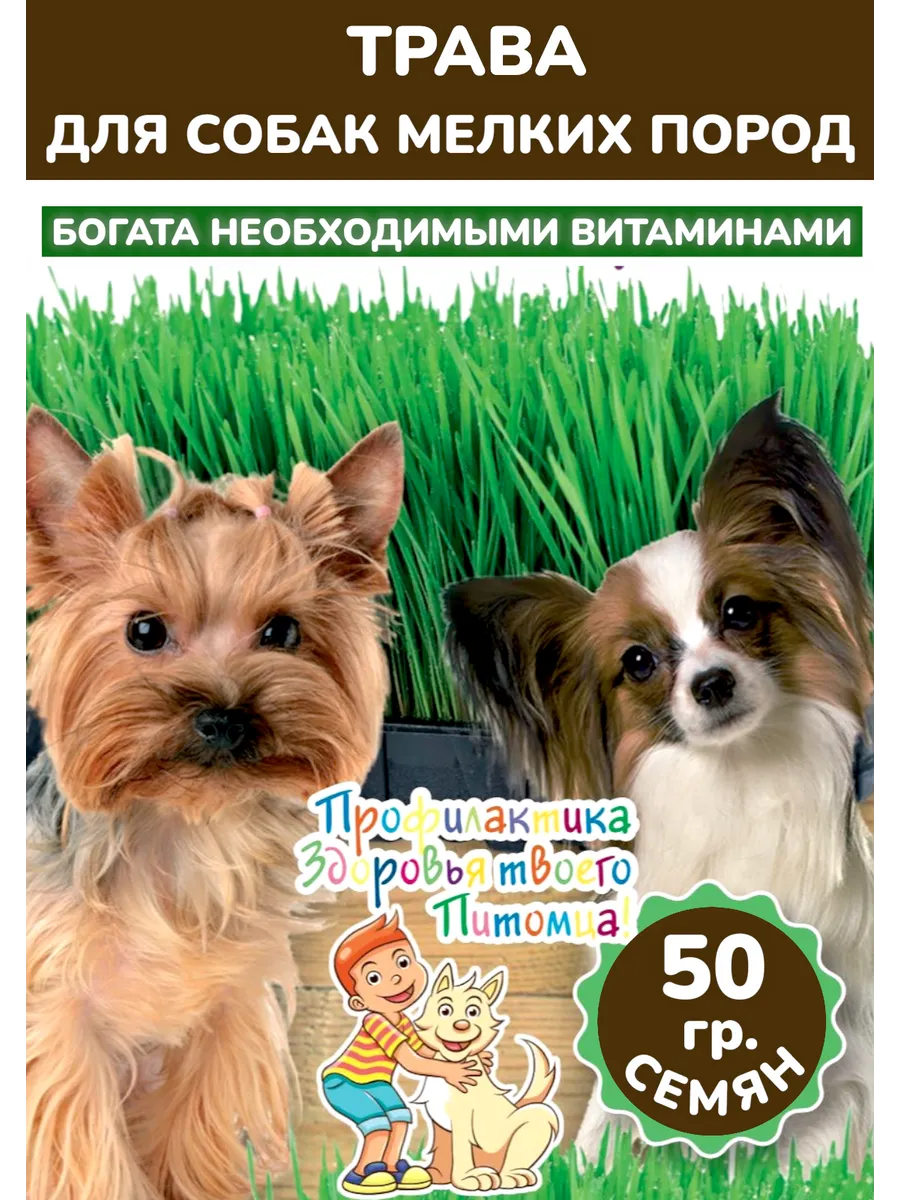 Трава для собак мелких пород, 50гр, 5 пакетов