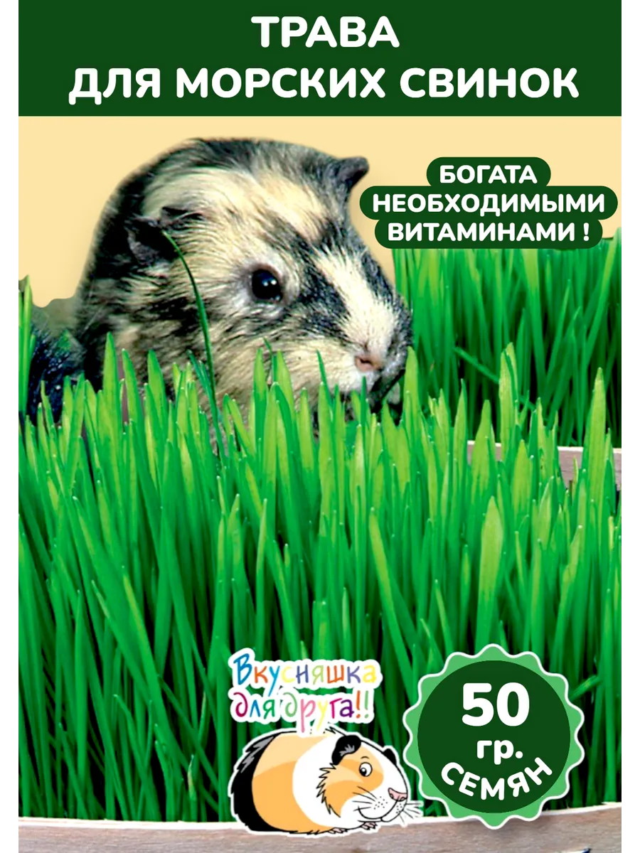 Трава для морских свинок, 50гр, 5 пакетов