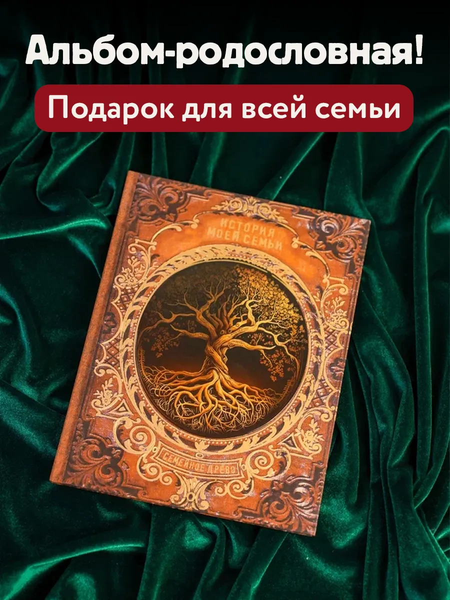 История моей семьи