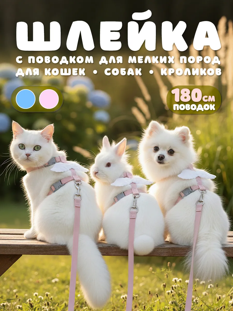 Шлейка для кошек и собак мелких пород с поводком