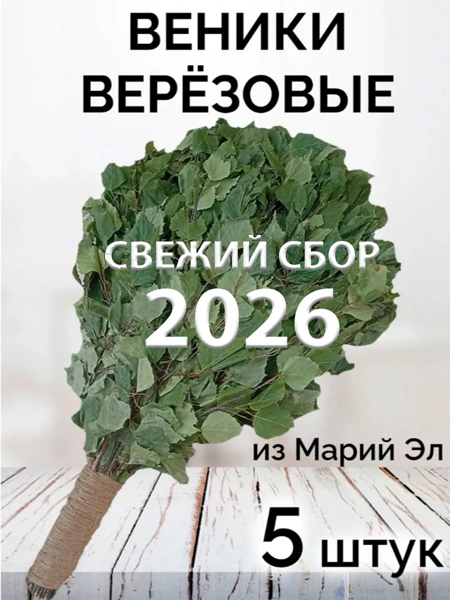 Веник березовый для бани 5 штук с ручкой из джута 2026