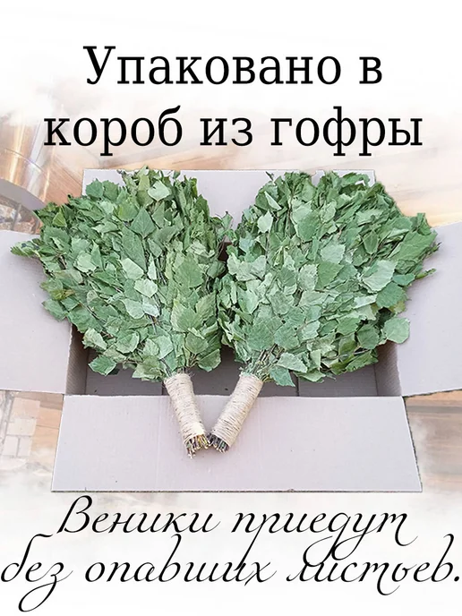 Дубовый Веник Веник березовый для бани 5 штук с ручкой из джута 2026, 5 шт, фото 3