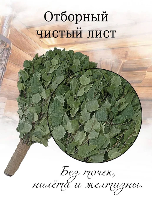 Дубовый Веник Веник березовый для бани 5 штук с ручкой из джута 2026, 5 шт, фото 7