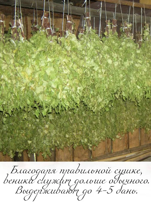 Дубовый Веник Веник березовый для бани 5 штук с ручкой из джута 2026, 5 шт, фото 8
